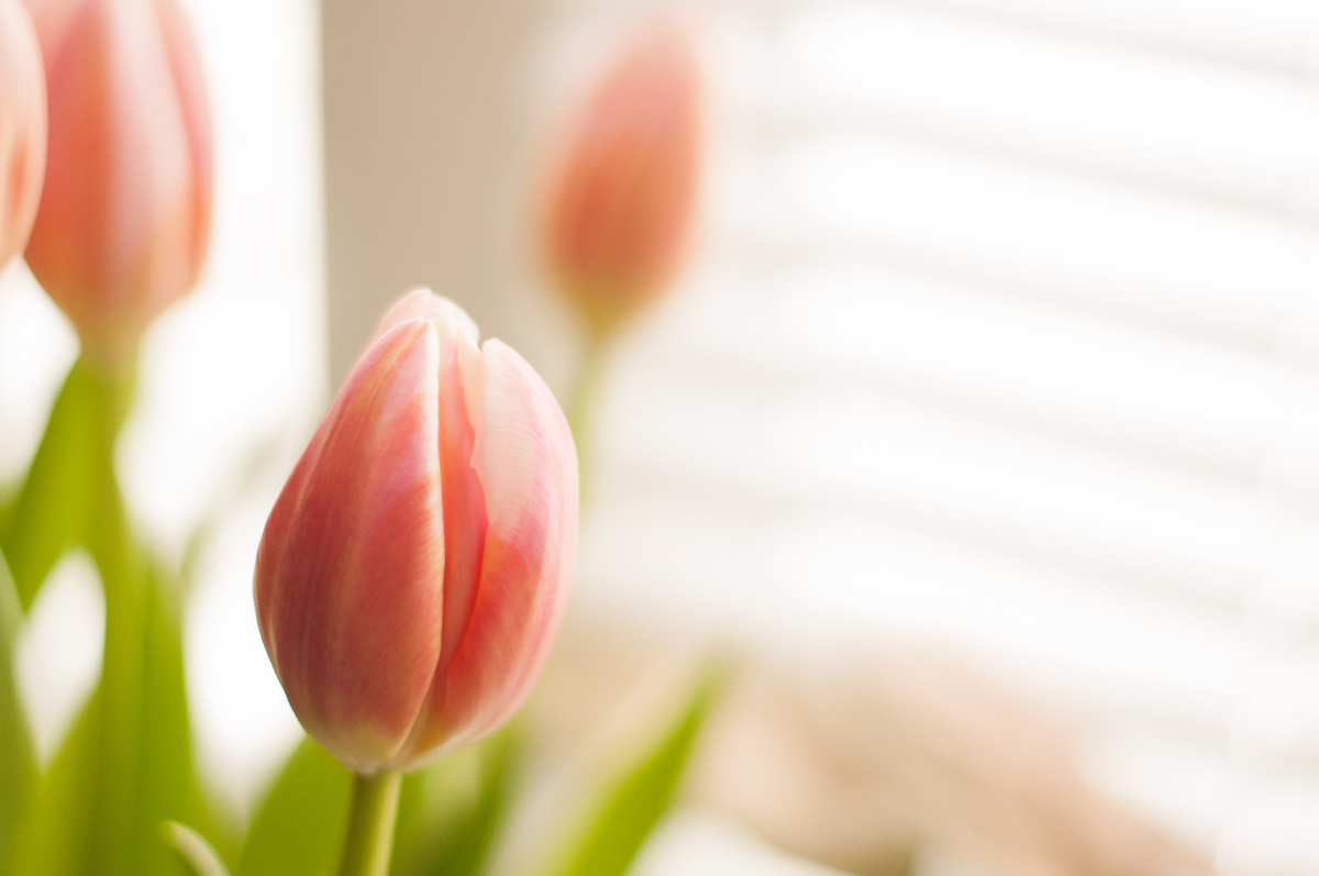 Личное фото