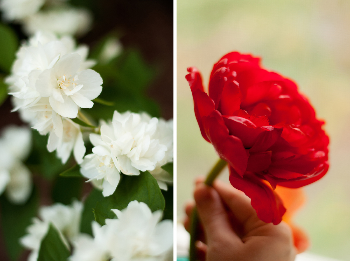 Личное фото