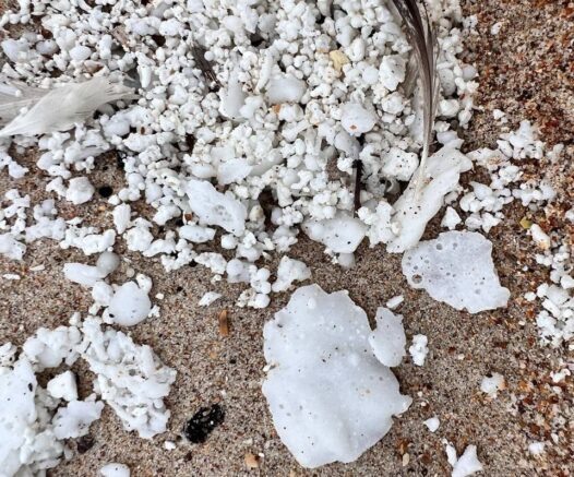    Белое вещество на пляже в Анапе / t.me/vitishko