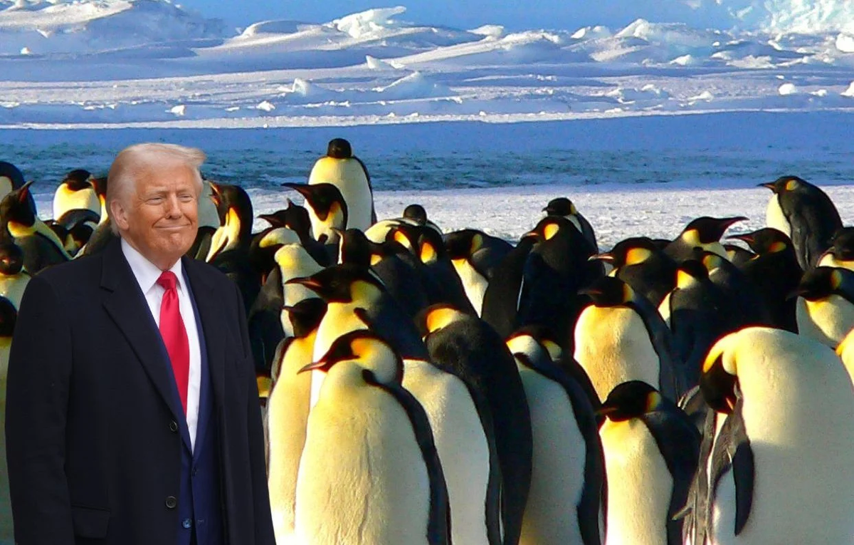 Дональд Трамп решил обложить налогом пингвинов, но не россиян - SIPA & Canva 