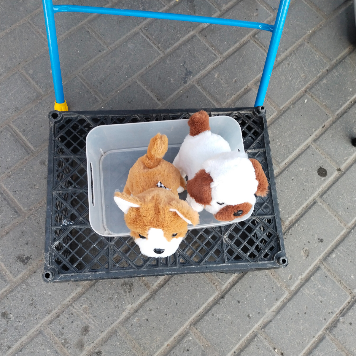 Фото автора канала