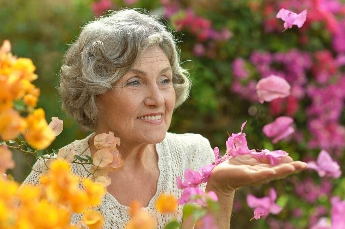 Яндекс. Картинки. 