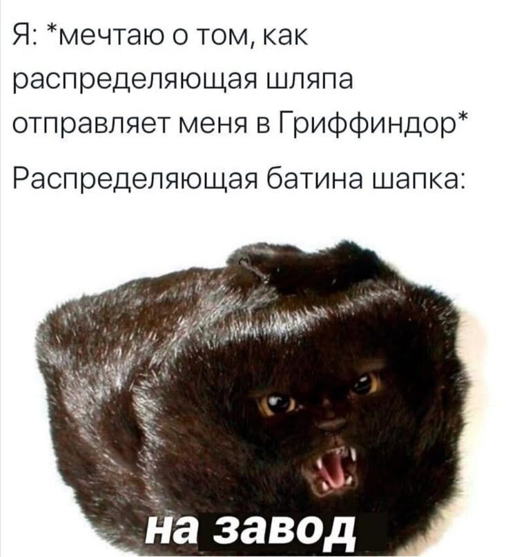 Пример мема. Источник: интернет