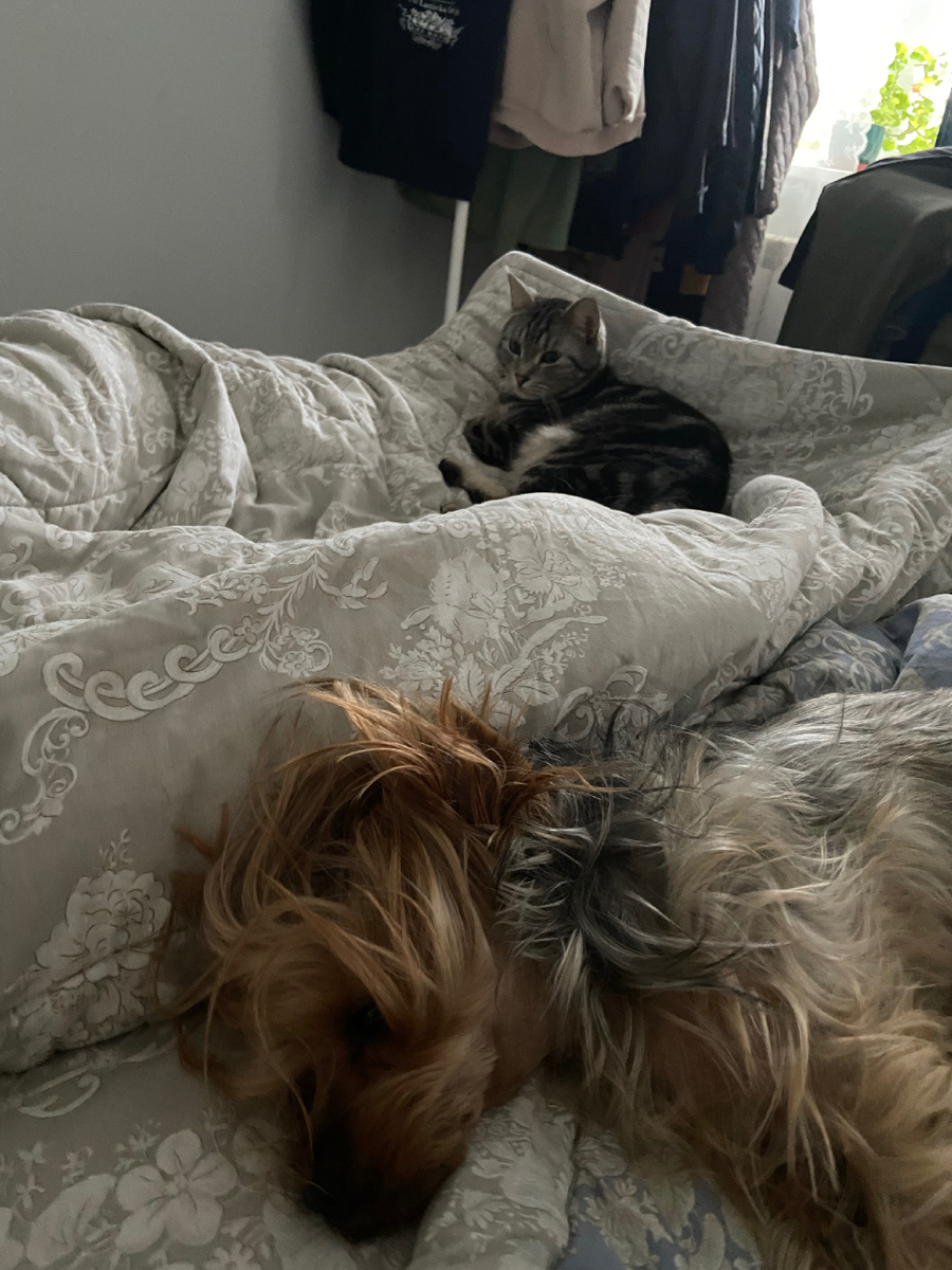 Сонная обитель.