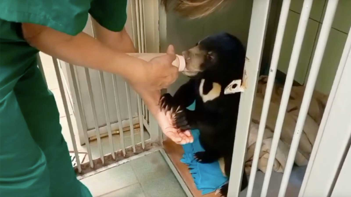 Маша наслаждается своим рационом