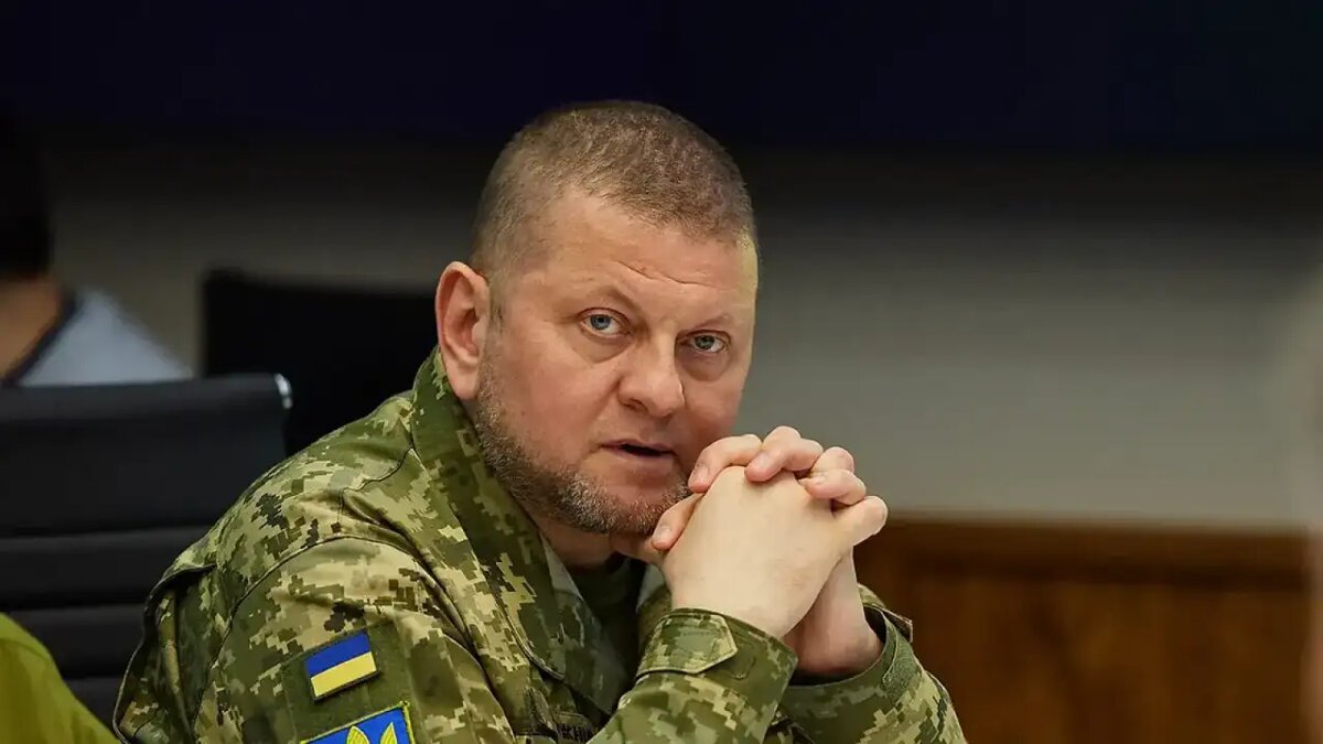    Валерий Залужный