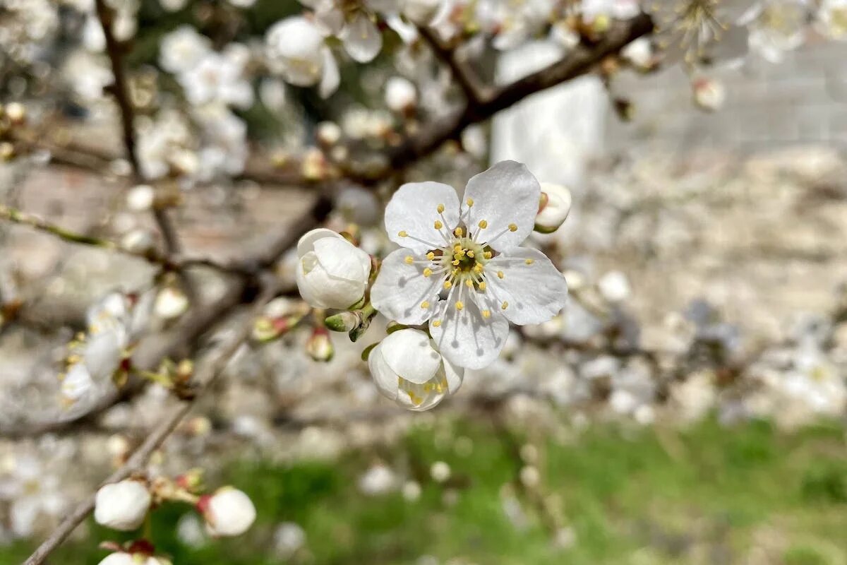 Фото: UfaTime.ru
