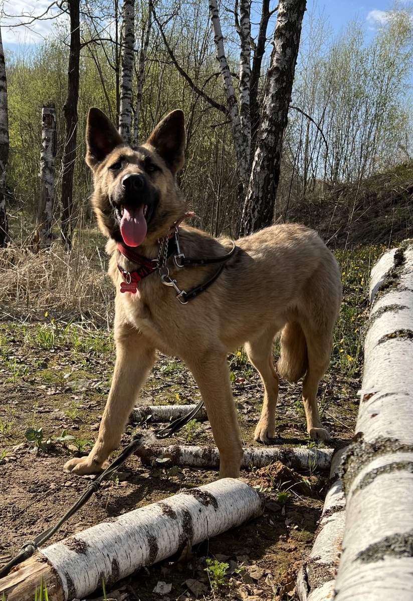 Привет! Я - горячий пирожок!