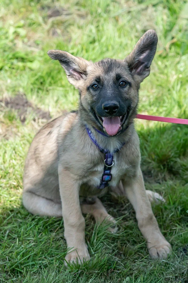 Не хочу банальную историю! Хочу счастливую!