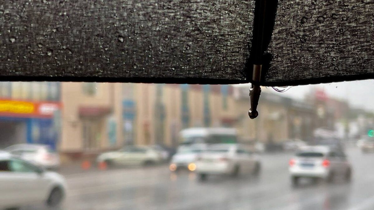    Фото: телеканал «Краснодар»