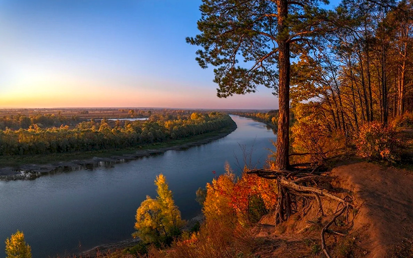 Фото из интернета 