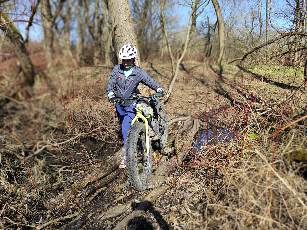 Какой лес дремучий