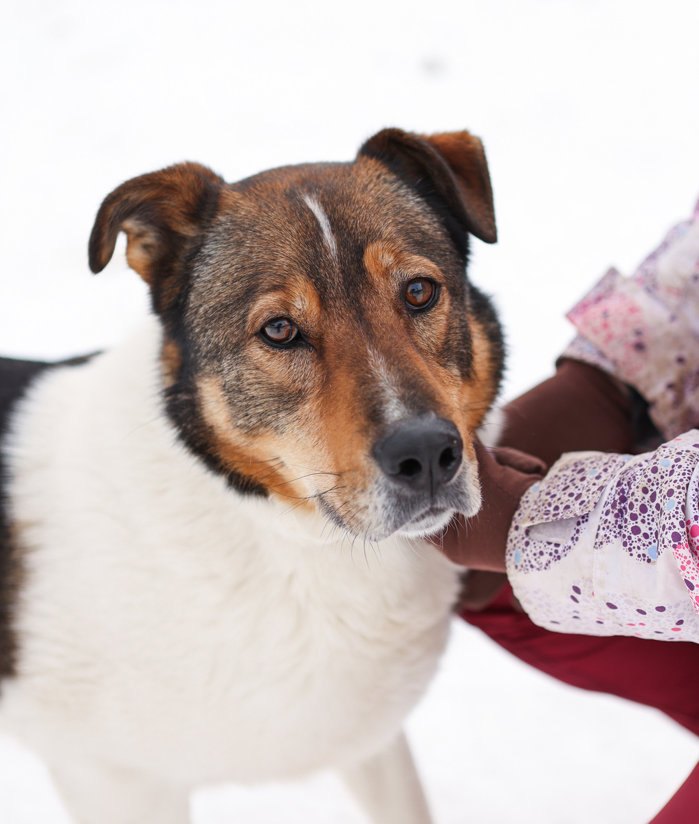 Я совсем недавно в приюте и девчата думали, что я тот самый трус, который будет долго упрямиться. А я не такой!