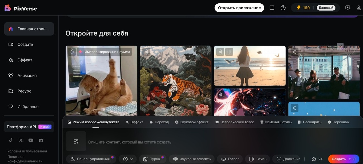 Главная страница