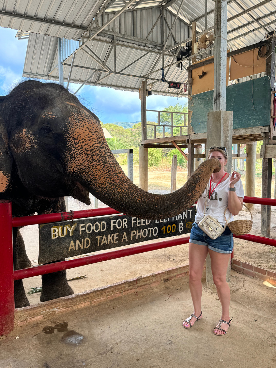 Слоны были очень любвеобильны и лезли с поцелуями😜