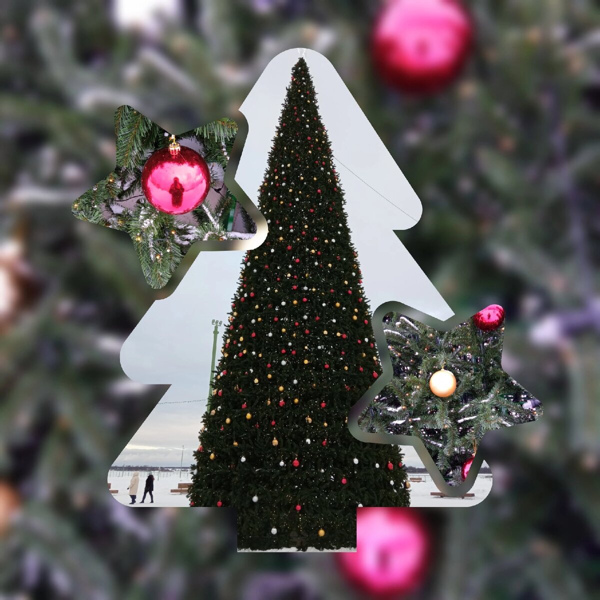 Ёлка на Стрелке. Фото автора. 