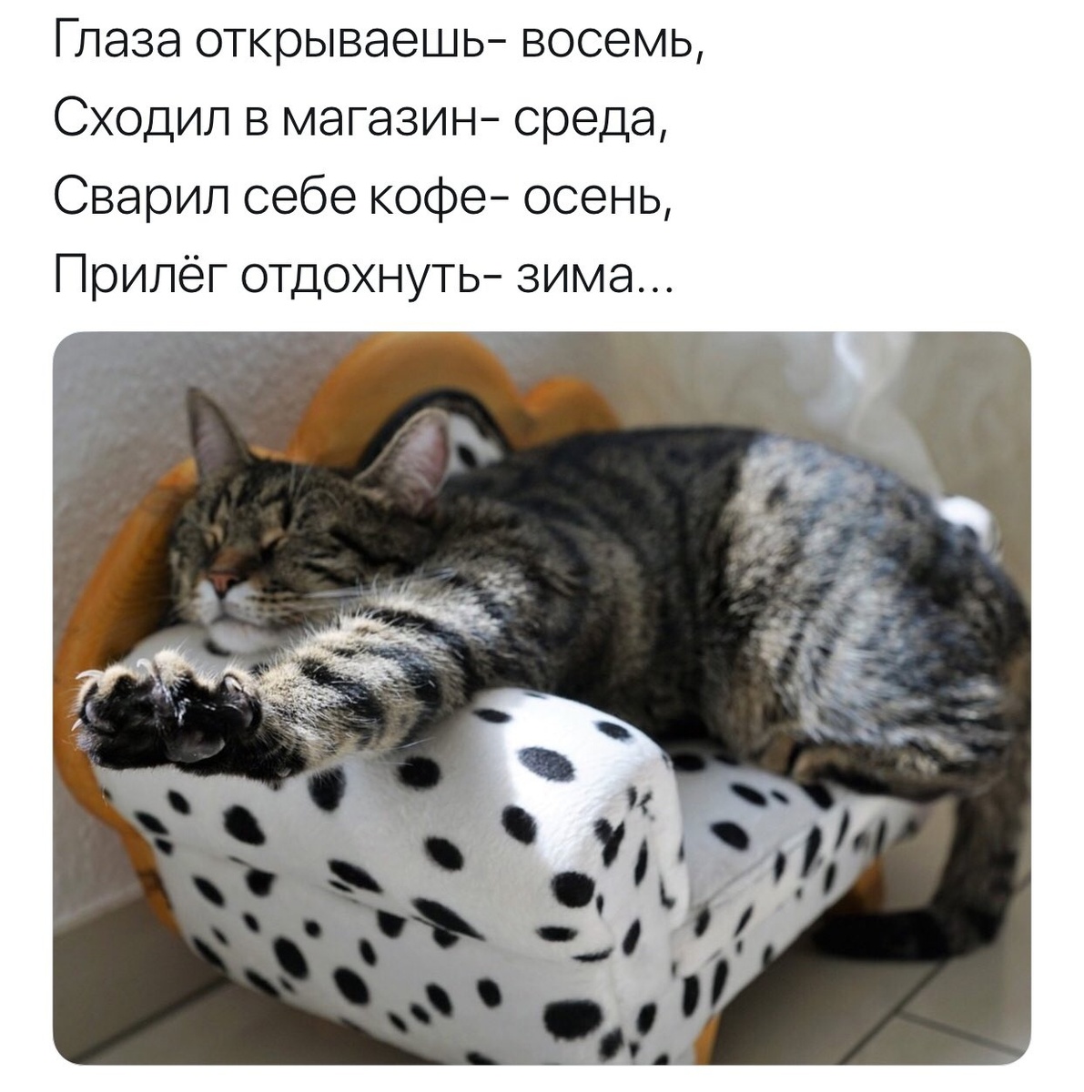 источник Яндекс-картинки