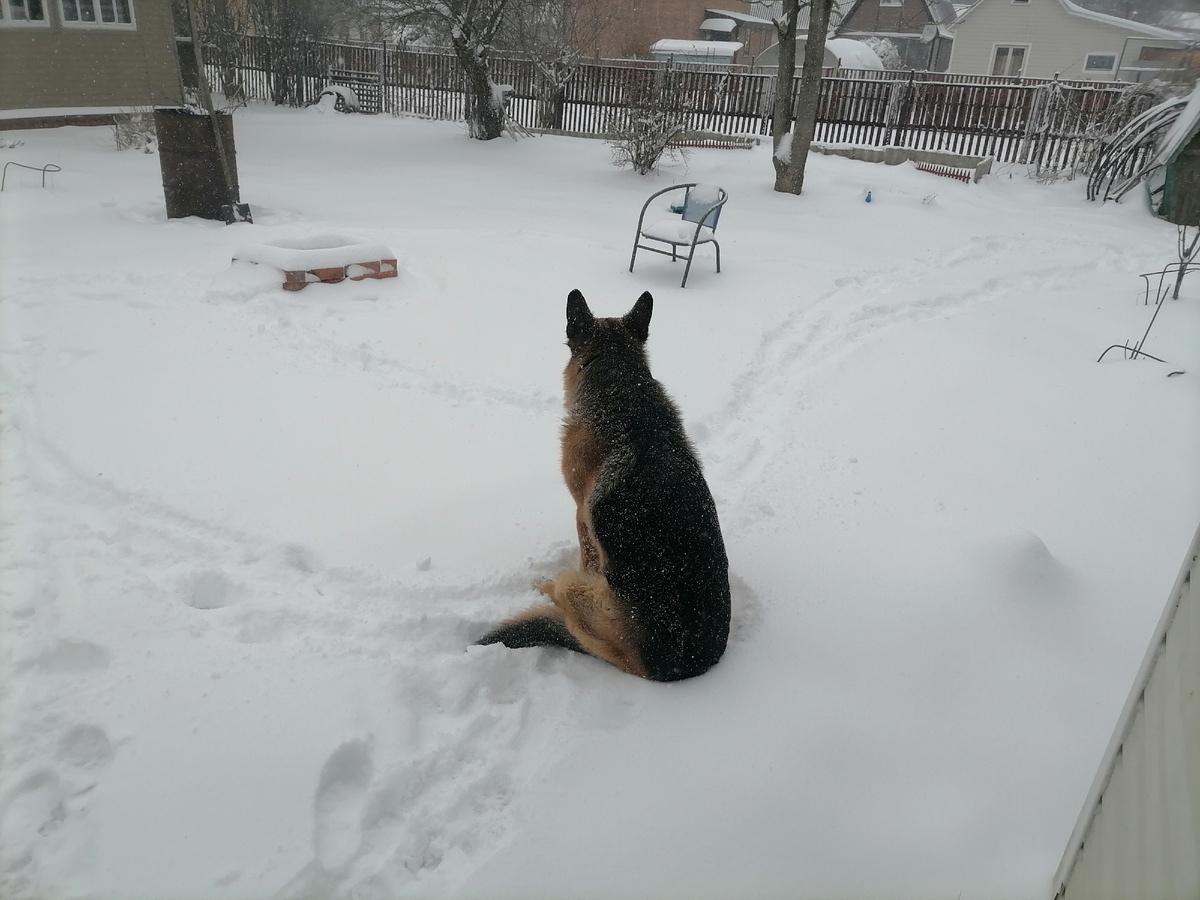 Фредик в шоке