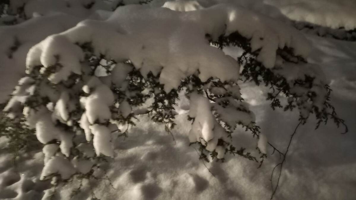 Все фото автора