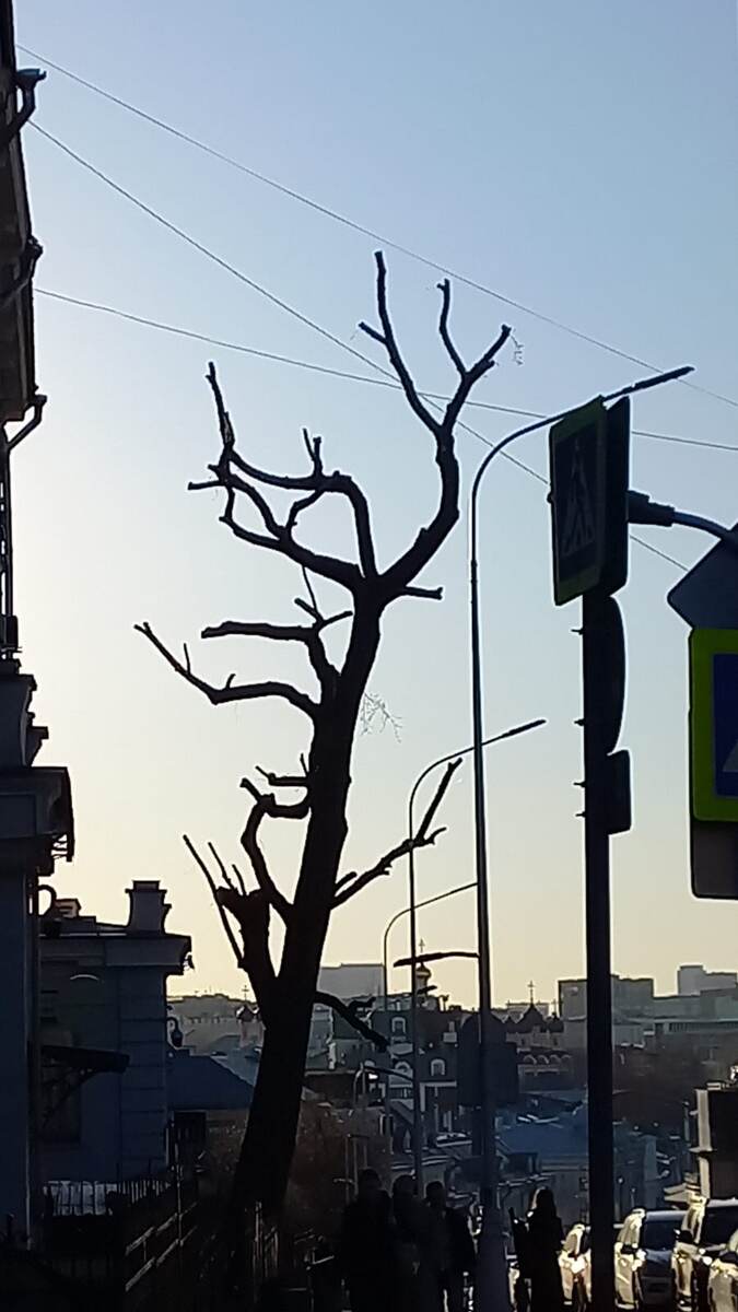 Две фотографии