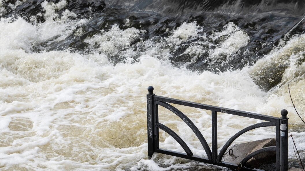    Ilya Moskovets/Globallookpress