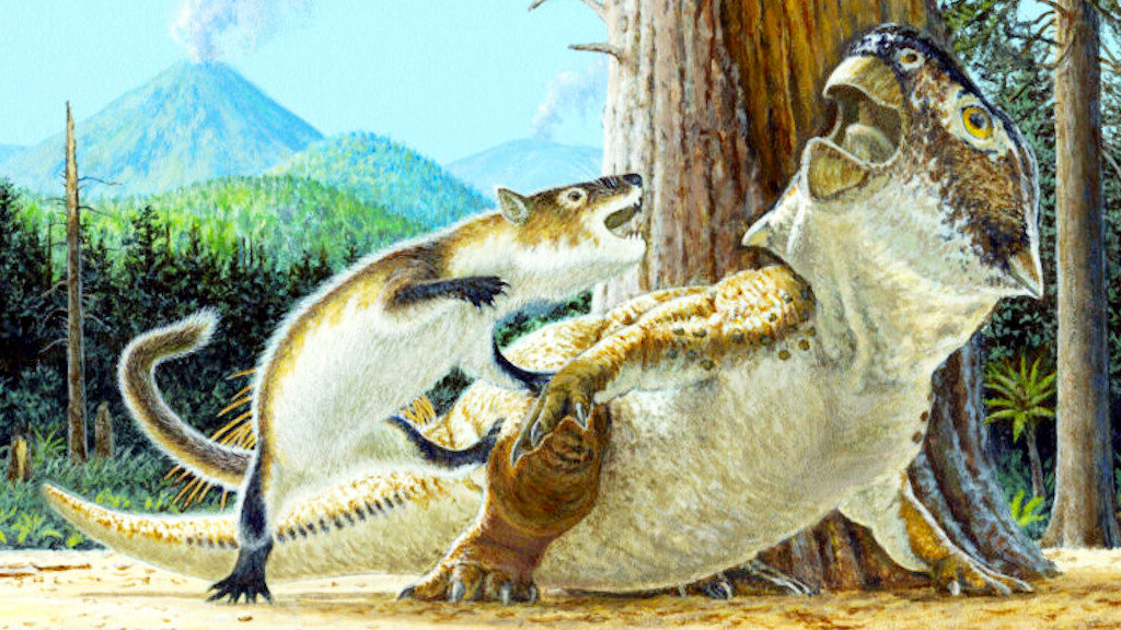 Мезозойские млекопитающие вообще не были так уж однообразны. Среди них были даже хищники.