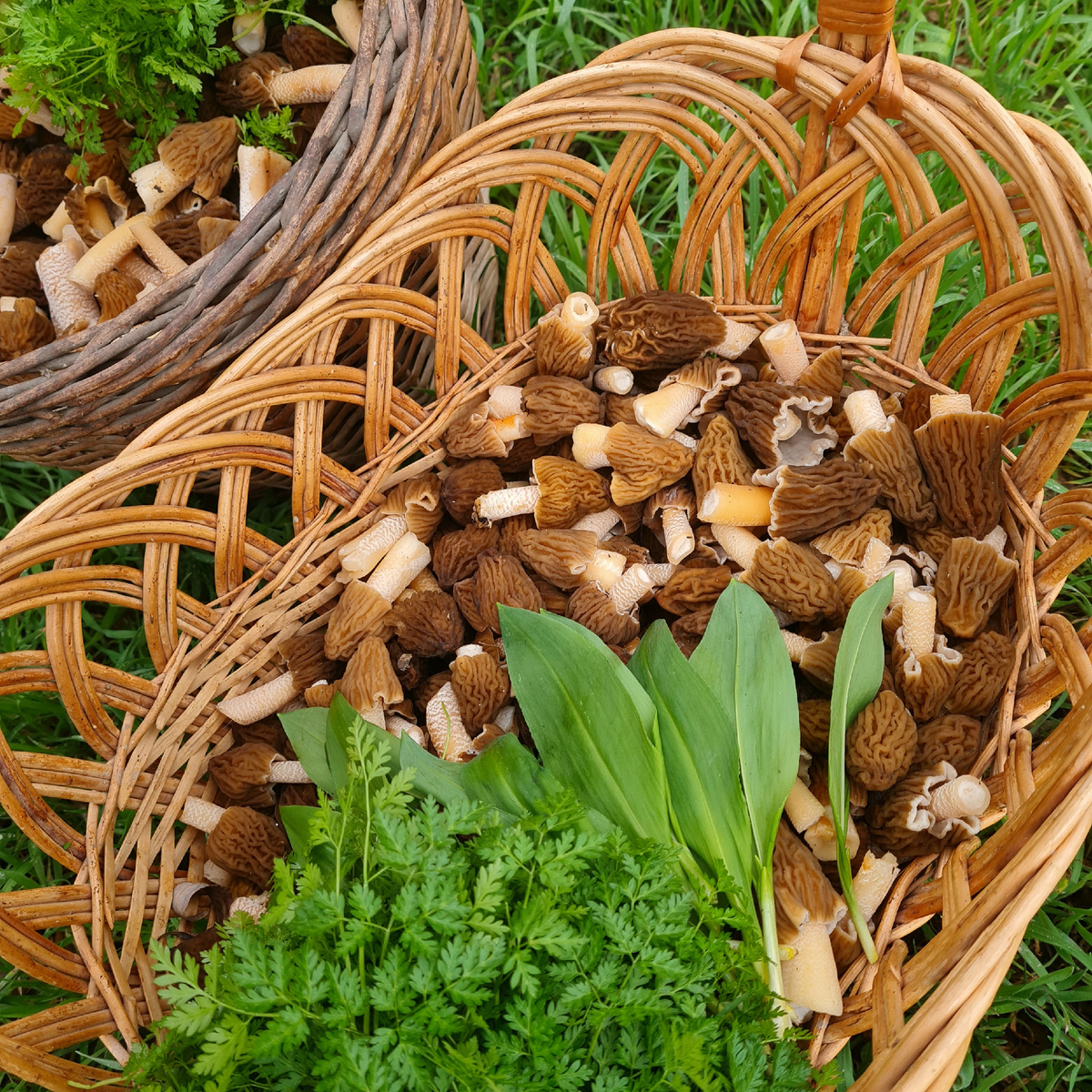 Уже несколько лет мы собираем 23-25 марта. Сбор 24 марта 2025 год. 