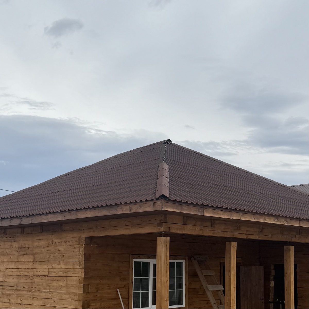 Нет части коньков