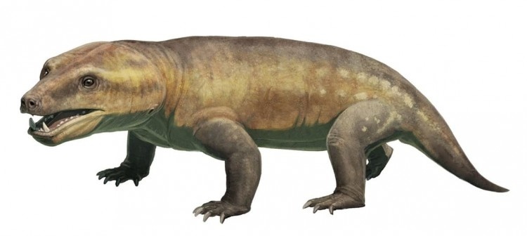 Диадемодон. Иллюстрация от Габриэля Угуэто.