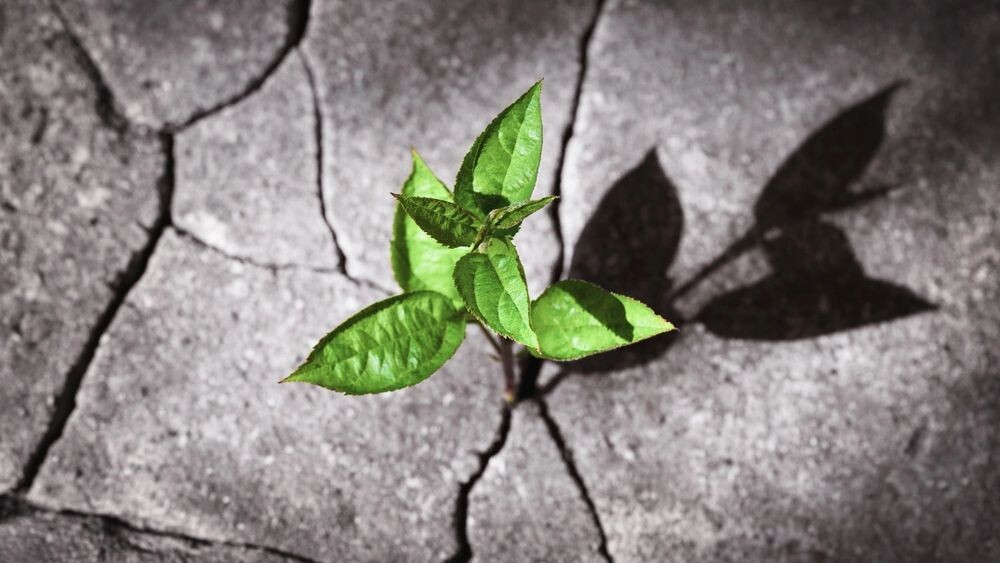    Фото: Nadya So/Shutterstock/Fotodom