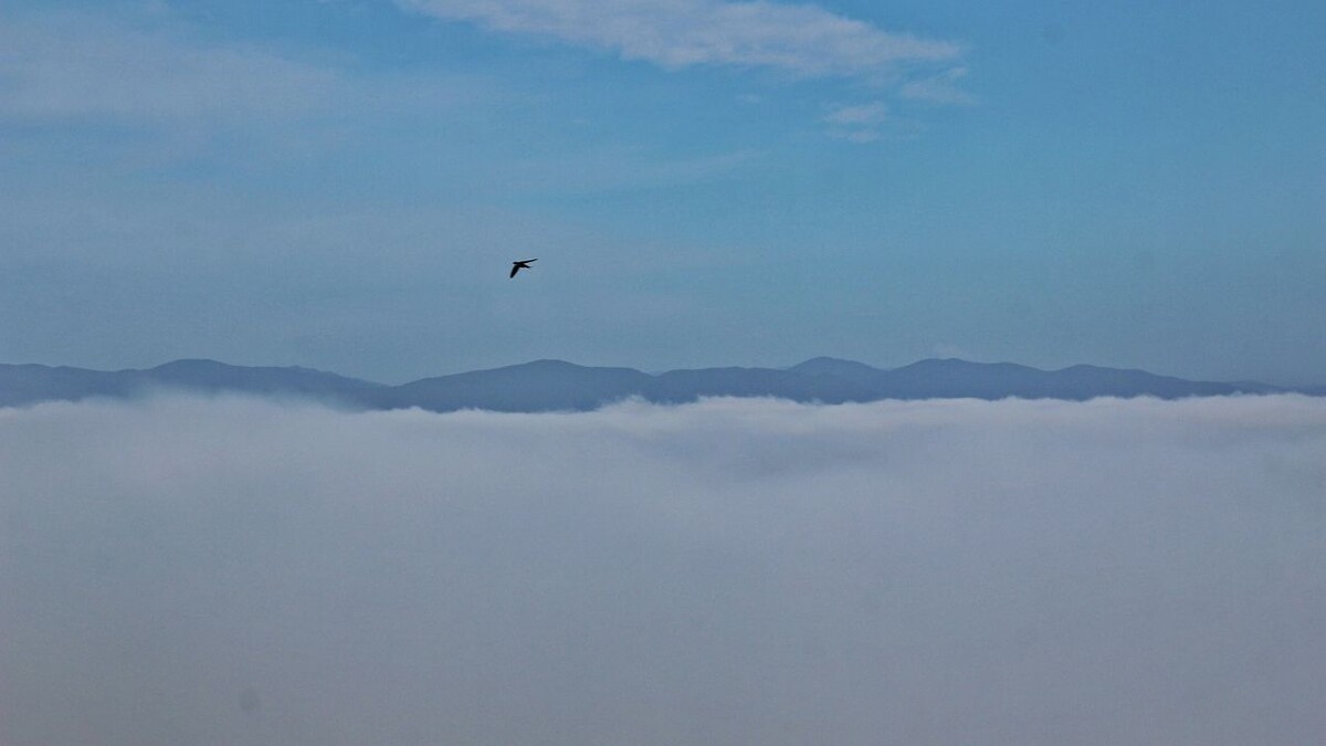     Источник: vostokmedia.com