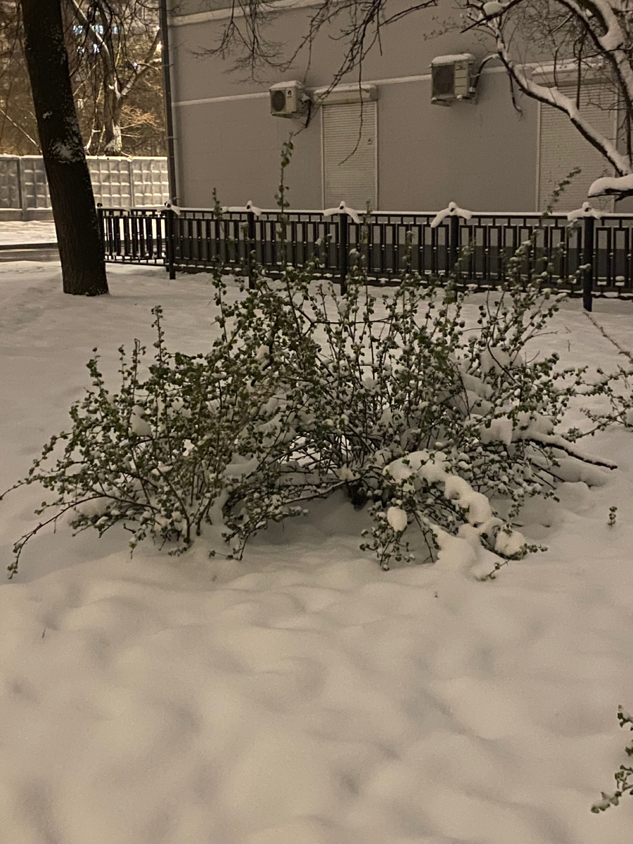 Фото автора.