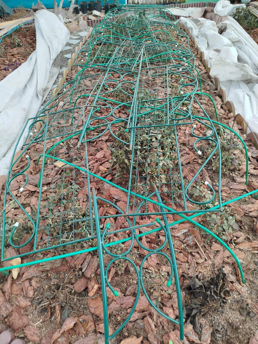 Это Центральный цветник самый широкий. 