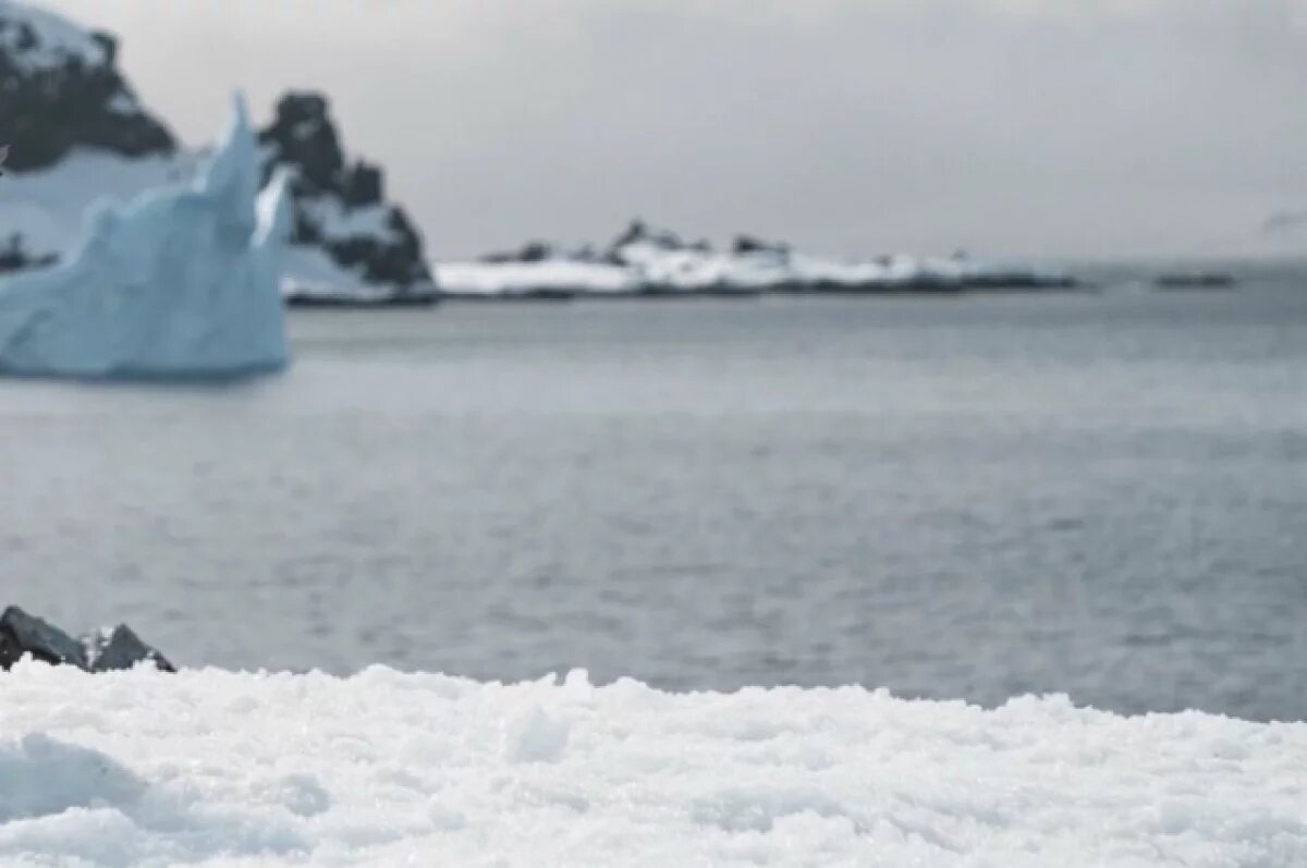    Министр Латник: Трамп ввёл пошлины «против пингвинов» из-за лазеек КНР