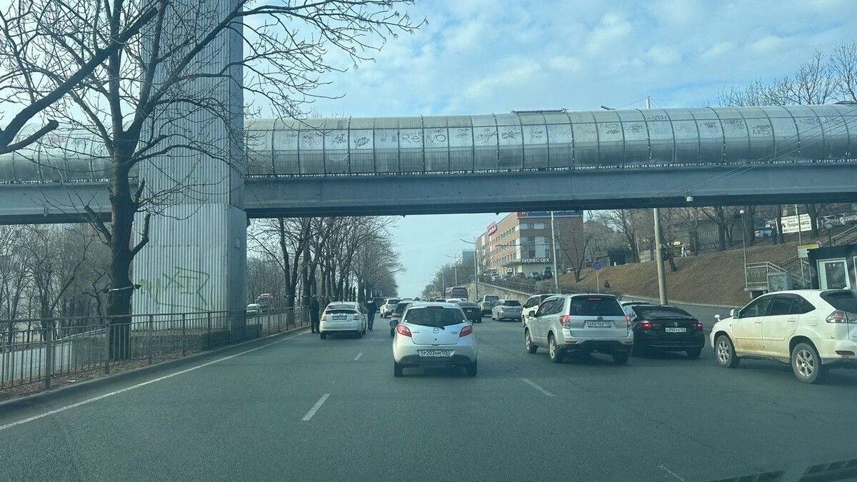     Источник: vostokmedia.com