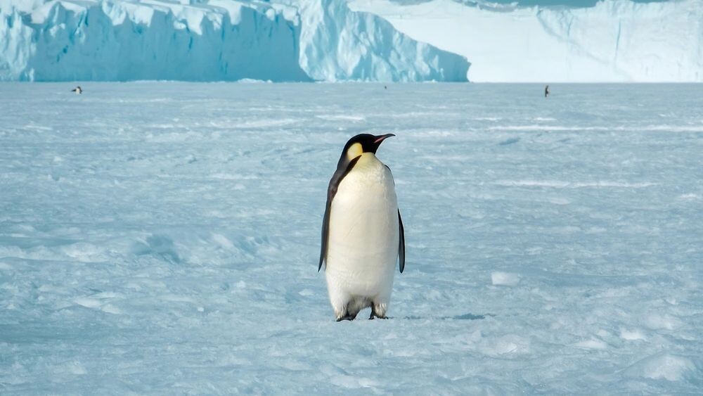    Фото: juan68/Shutterstock/Fotodom