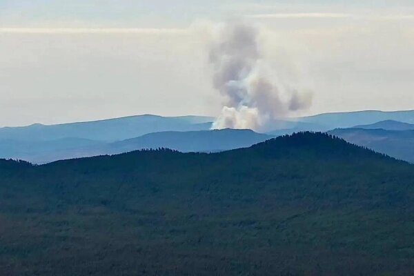 За сутки обнаружили 13 возгораний. Обложка © Telegram / Лесное хозяйство Бурятии