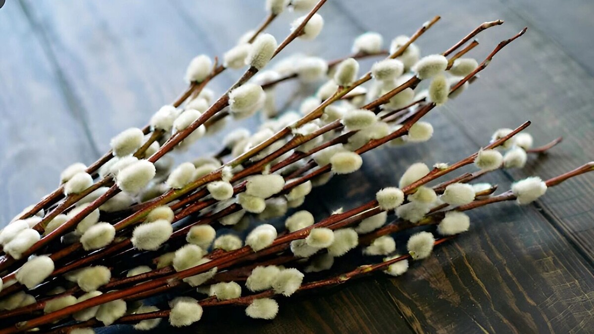     Источник: freepik.com