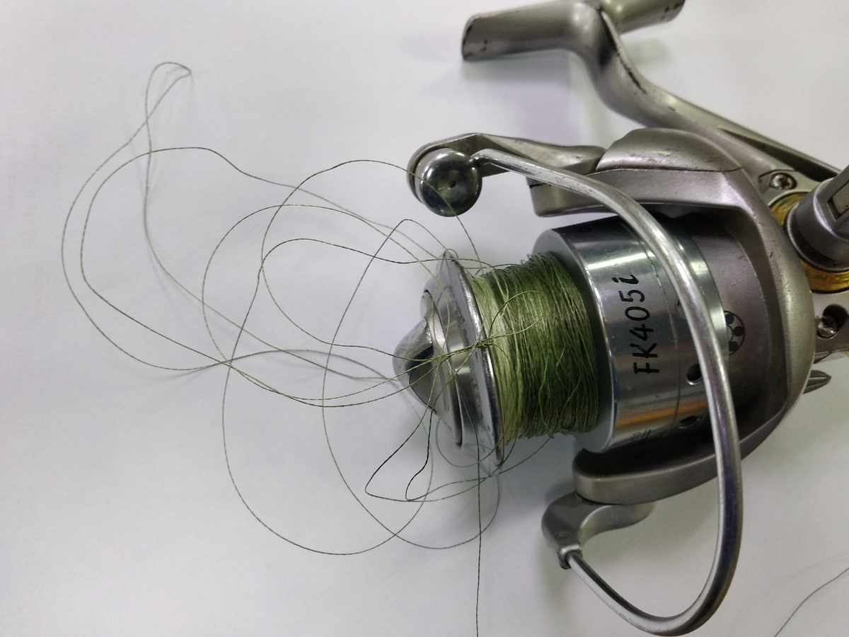 Борода на катушке. Фото автора Калачева А.В.