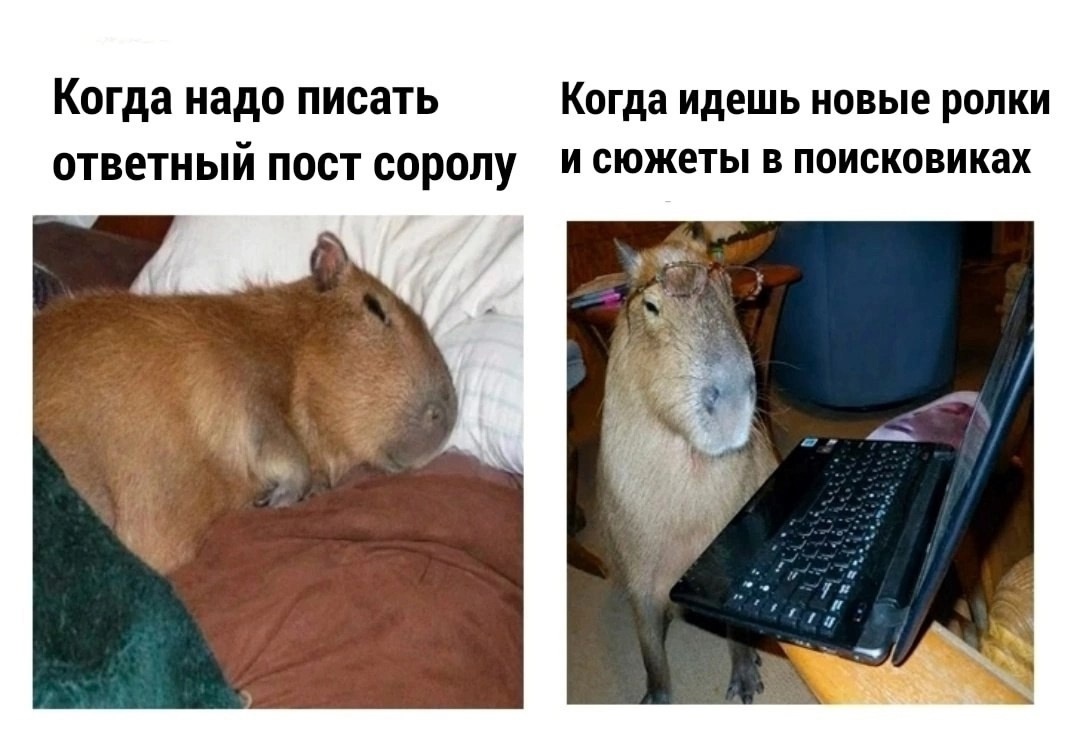 Многие игроки могут узнать здесь себя