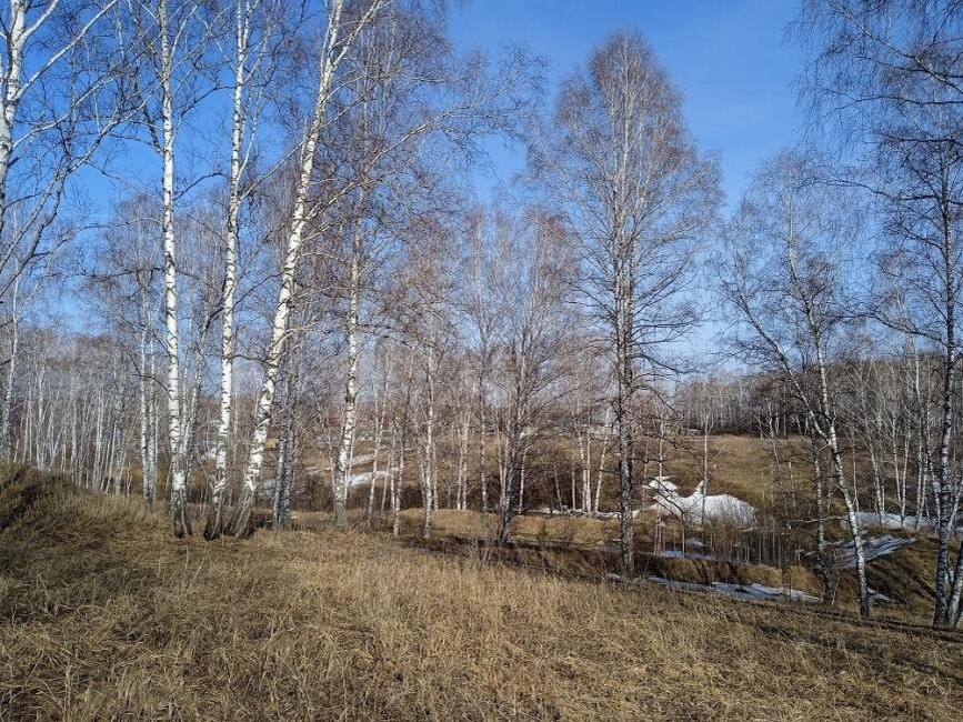     Фото Анны Зубаревой