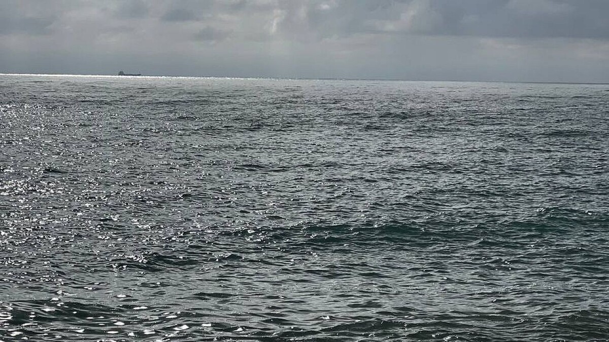    Фото: телеканал «Краснодар»