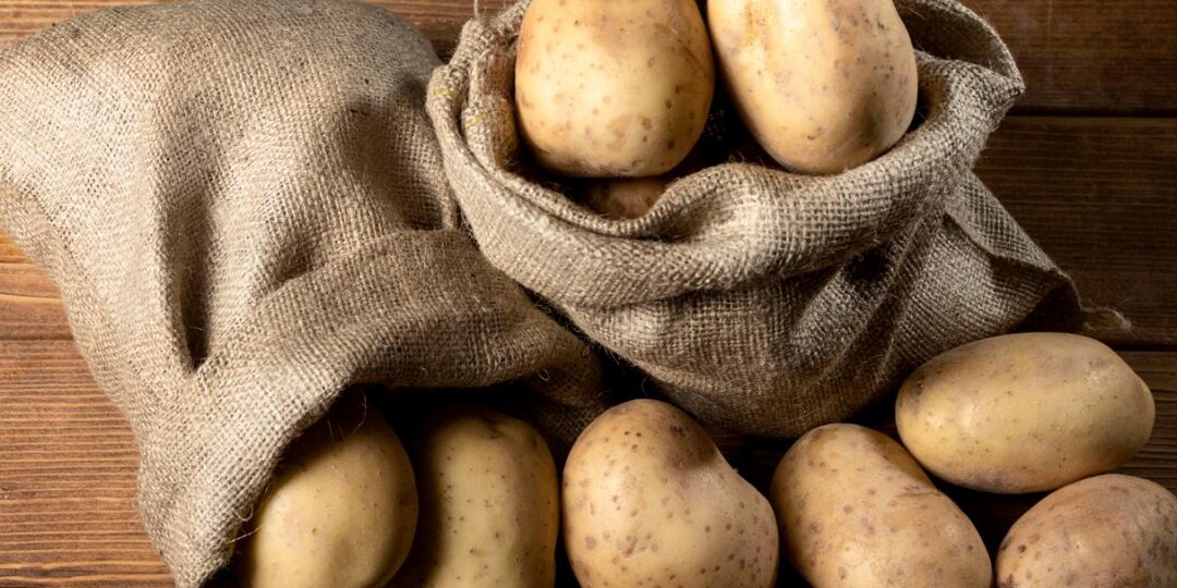 Проволочник бежит в ужасе: как защитить грядки без химии