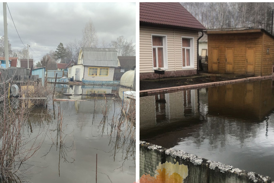    Фото "Моя Первомайка"