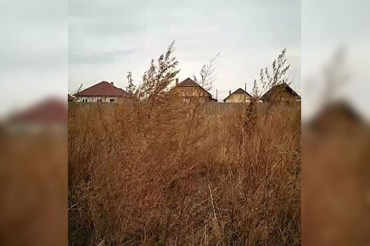 Скриншот видео жительницы с.Калинино
