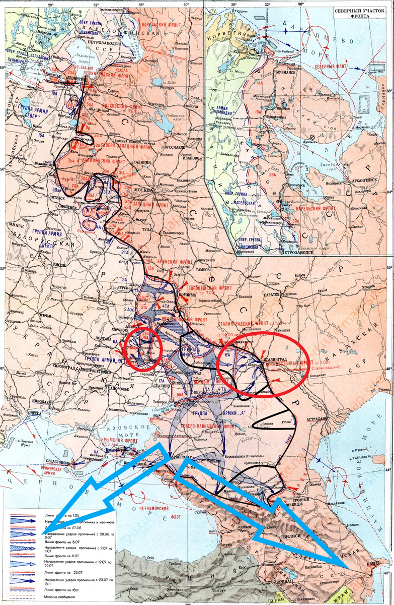 (Фото взято из открытых источников).