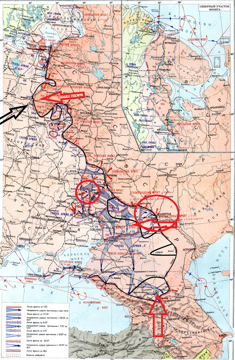 (Фото взято из открытых источников).