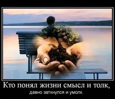 Яндекс Открытый источник 