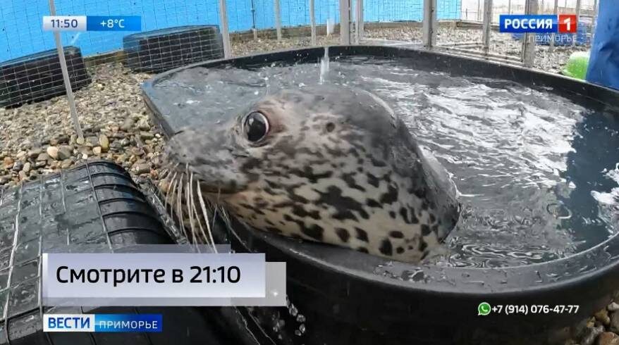    Источник фото: