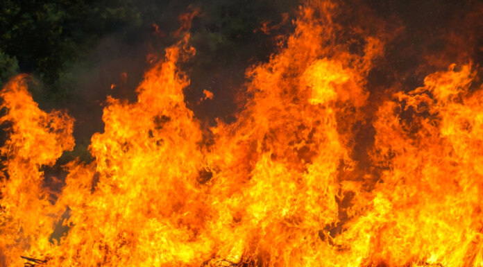   Изображение от ilovehz на Freepik